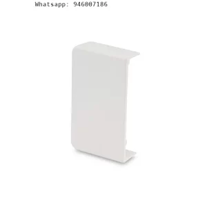 Accesorio Tapa Final 40x25mm Schneider Electric